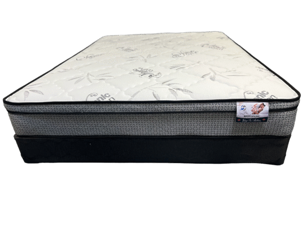 REST-O-PEDIC - Image 2